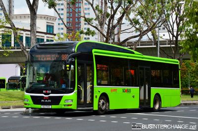 Bus 991 - SMRT Buses MAN NL323F (A22) (SG1714E)