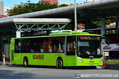 Bus 151 - SBS Transit MAN NL323F (A22) (SG1766E)