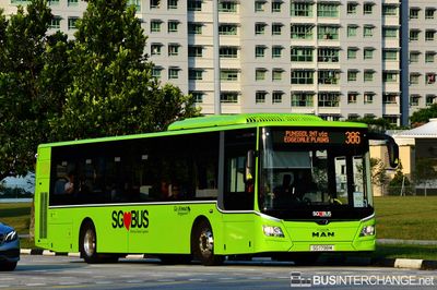 MAN Lion`s City Euro VI (NL323F / A22)