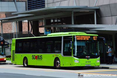 Bus 107 - SBS Transit MAN NL323F (A22) (SG1856D)