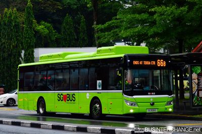 Bus 66B - Tower Transit Singapore Yutong E12 (ZK6128BEVG) (SG3091E)