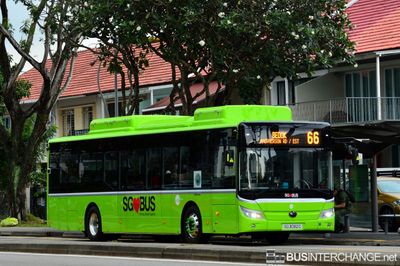 Bus 66 - Tower Transit Singapore Yutong E12 (ZK6128BEVG) (SG3092C)