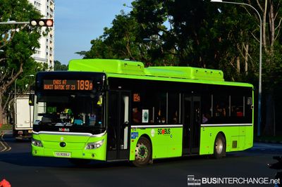 Bus 189A - Tower Transit Singapore Yutong E12 (ZK6128BEVG) (SG3099J)