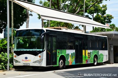 SG4001J - Go-Ahead Singapore BYD K9