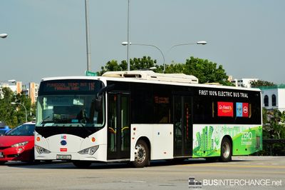 Bus 119 - Go-Ahead Singapore BYD K9 (SG4001J)