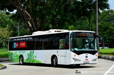 Bus 17 - Go-Ahead Singapore BYD K9 (SG4001J)