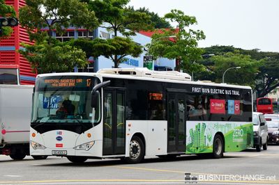 Bus 17 - Go-Ahead Singapore BYD K9 (SG4001J)