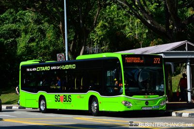 Bus 272 - SBS Transit Mercedes-Benz Citaro C2 Hybrid (SG4004B)
