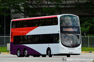 SG5003Y · TT