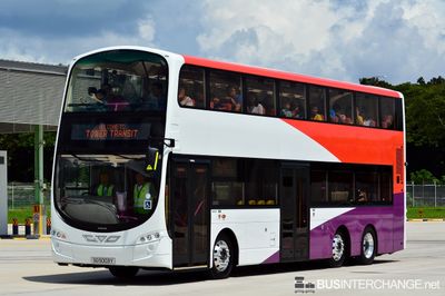 SG5003Y · TT