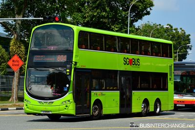 Bus 804 - SBS Transit Volvo B9TL (SG5041L)