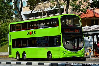 Bus 800 - SBS Transit Volvo B9TL (SG5042J)