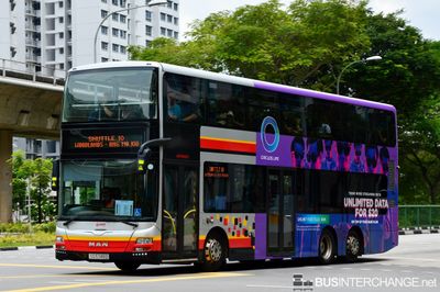 Bus SHUTTLE10 - SMRT Buses MAN ND323F (A95) (SG5749D)
