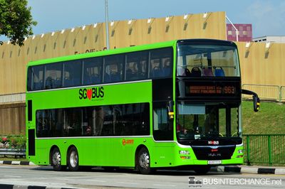 Bus 963 - SMRT Buses MAN ND323F (A95) (SG5777Y)