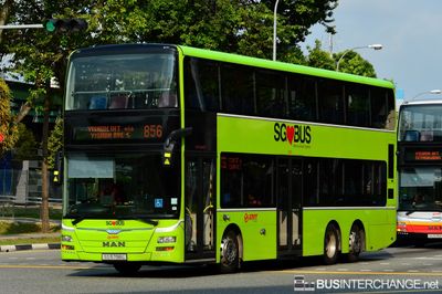 Bus 856 - SMRT Buses MAN ND323F (A95) (SG5798L)