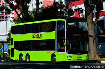 Bus 67 - SMRT Buses MAN ND323F (A95) (SG5803E)