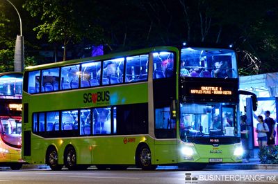 Bus SHUTTLE1 - SMRT Buses MAN ND323F (A95) (SG5814Z)
