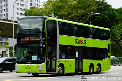 Bus SHUTTLE10 - SMRT Buses MAN ND323F (A95) (SG5827L)