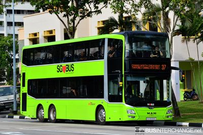 Bus 37 - SBS Transit MAN ND323F (A95) (SG5838E)