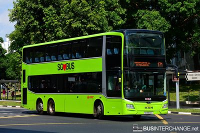 Bus 171 - SMRT Buses MAN ND323F (A95) (SG5942L)