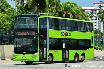 Bus 901 - SMRT Buses MAN ND323F (A95) (SG5970E)
