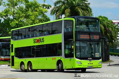 Bus 901M - SMRT Buses MAN ND323F (A95) (SG6038R)