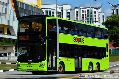 Bus 117 - SBS Transit MAN ND323F (A95) (SG6043A)