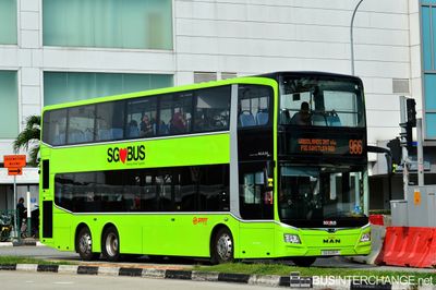 Bus 966 - SMRT Buses MAN ND323F (A95) (SG6081P)
