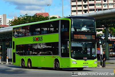Bus 72 - SBS Transit MAN ND323F (A95) (SG6100T)