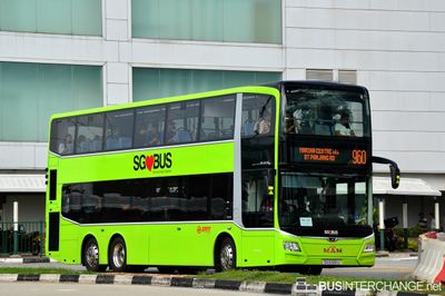 Bus 960 - SMRT Buses MAN ND323F (A95) (SG6126U)