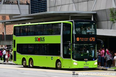 Bus 670 - Tower Transit Singapore MAN A95 (SG6132B)