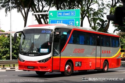 Singapore-Johore Express MAN SU283F (A91) (SH800R) - SJE