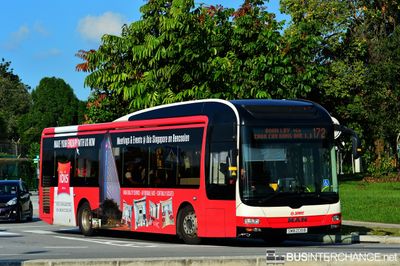 Bus 172 - SMRT Buses MAN NL323F (A22) (SMB 209B)