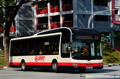 Bus 307 - SMRT Buses MAN NL323F (A22) (SMB 314E)