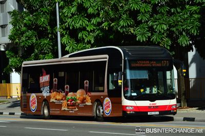 SMB1391A · 171