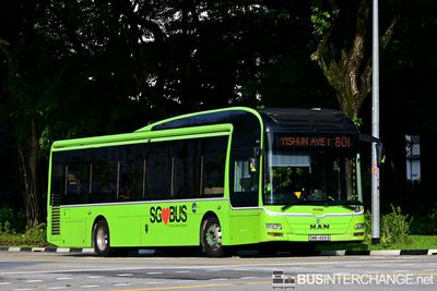 Bus 801 - Tower Transit Singapore MAN NL323F (A22) (SMB1429B)