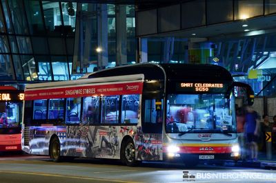 Bus SMRT Celebrates SG50 - SMRT Buses MAN NL323F (A22) (SMB1479G)