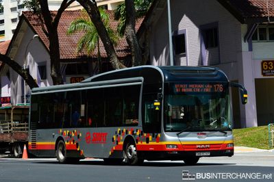 Bus 176 - SMRT Buses MAN NL323F (A22) (SMB1574P)