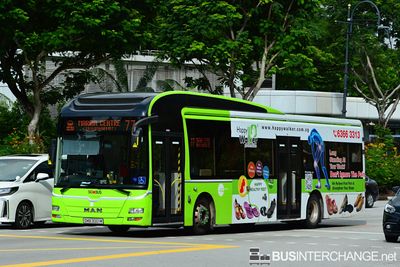 Bus 77 - Tower Transit Singapore MAN NL323F (A22) (SMB3001M)