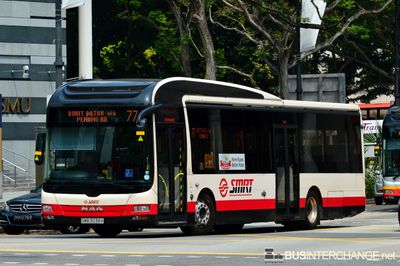 Bus 77 - SMRT Buses MAN NL323F (A22) (SMB3038H)