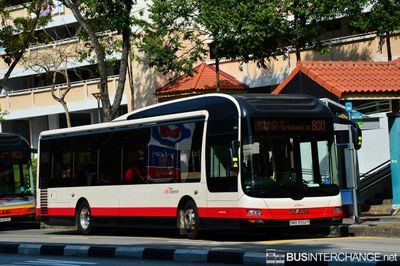 Bus 800 - SBS Transit MAN NL323F (A22) (SMB3052R)
