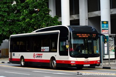 Bus 77 - SMRT Buses MAN NL323F (A22) (SMB3053M)