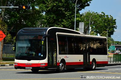 Bus 804 - SBS Transit MAN NL323F (A22) (SMB3087R)