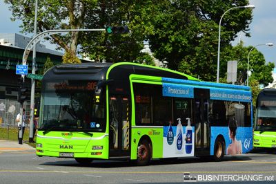 Bus 805 - SBS Transit MAN NL323F (A22) (SMB3092A)