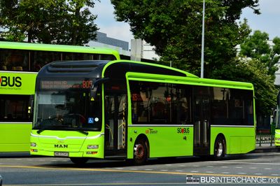 Bus 805 - SBS Transit MAN NL323F (A22) (SMB3094U)