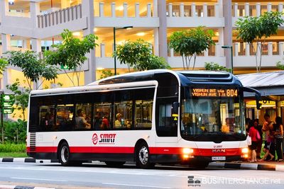 Bus 804 - SMRT Buses MAN NL323F (A22) (SMB3095S)