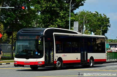 Bus 805 - SBS Transit MAN NL323F (A22) (SMB3098J)