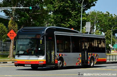 Bus 805 - SBS Transit MAN NL323F (A22) (SMB3101H)