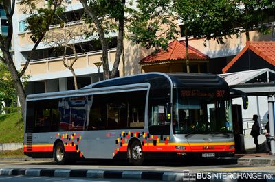 Bus 807 - SBS Transit MAN NL323F (A22) (SMB3105Y)