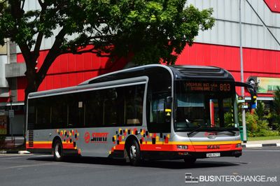 Bus 803 - SMRT Buses MAN NL323F (A22) (SMB3107S)